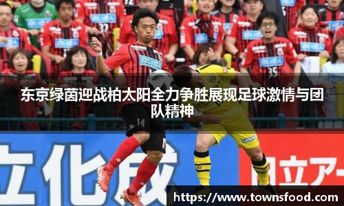 东京绿茵迎战柏太阳全力争胜展现足球激情与团队精神